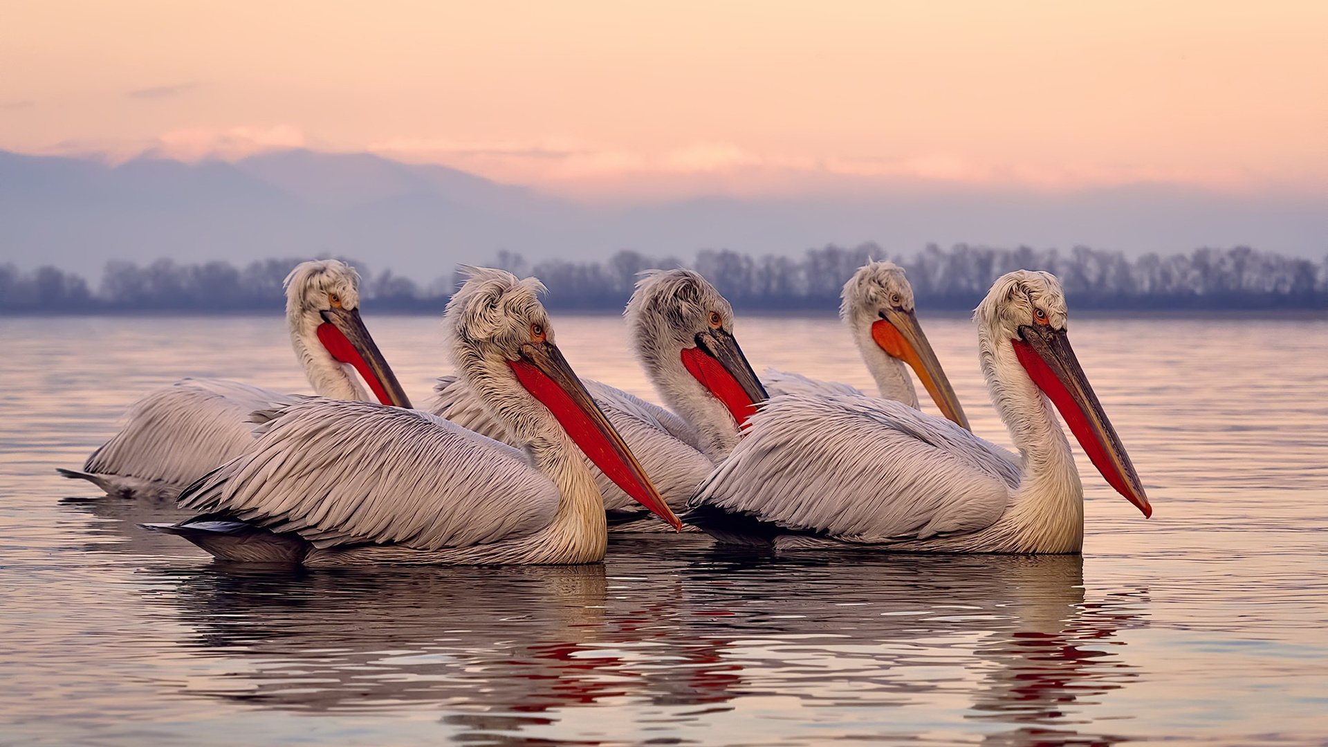 _山野定向赛:脑力与体力的双重考验_,野外定向比赛