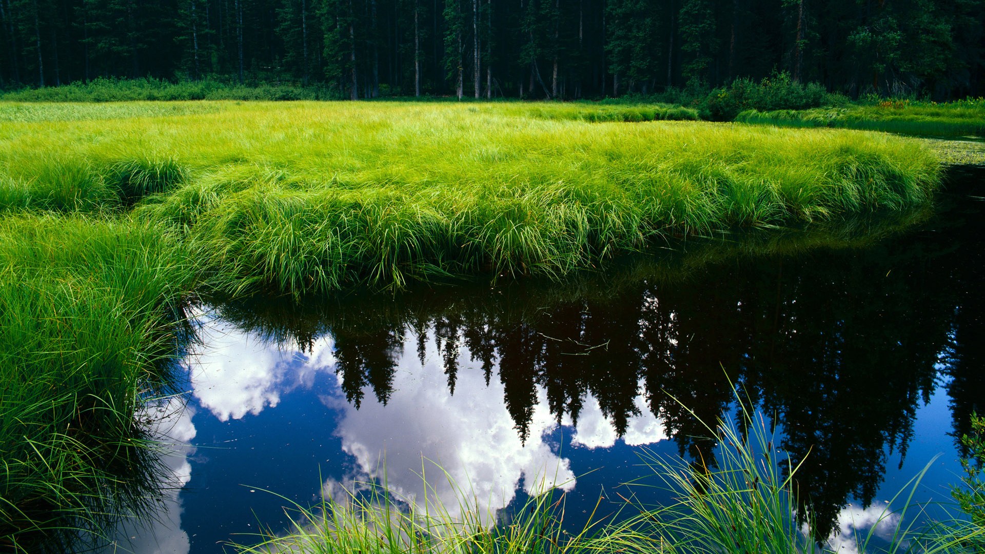 开云官方-《Valorant欧洲杯，Fnatic队伍三战三捷夺冠》，欧洲杯f组第三轮