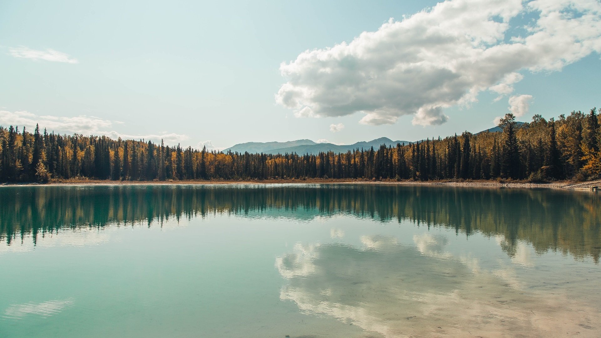 【传承精神】老一辈棒球人的故事,棒球运动员视频