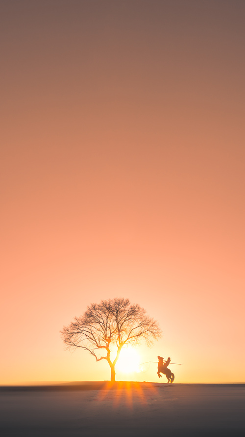 中国象棋协会发布象棋赛事组织规范,中国象棋协会象棋等级