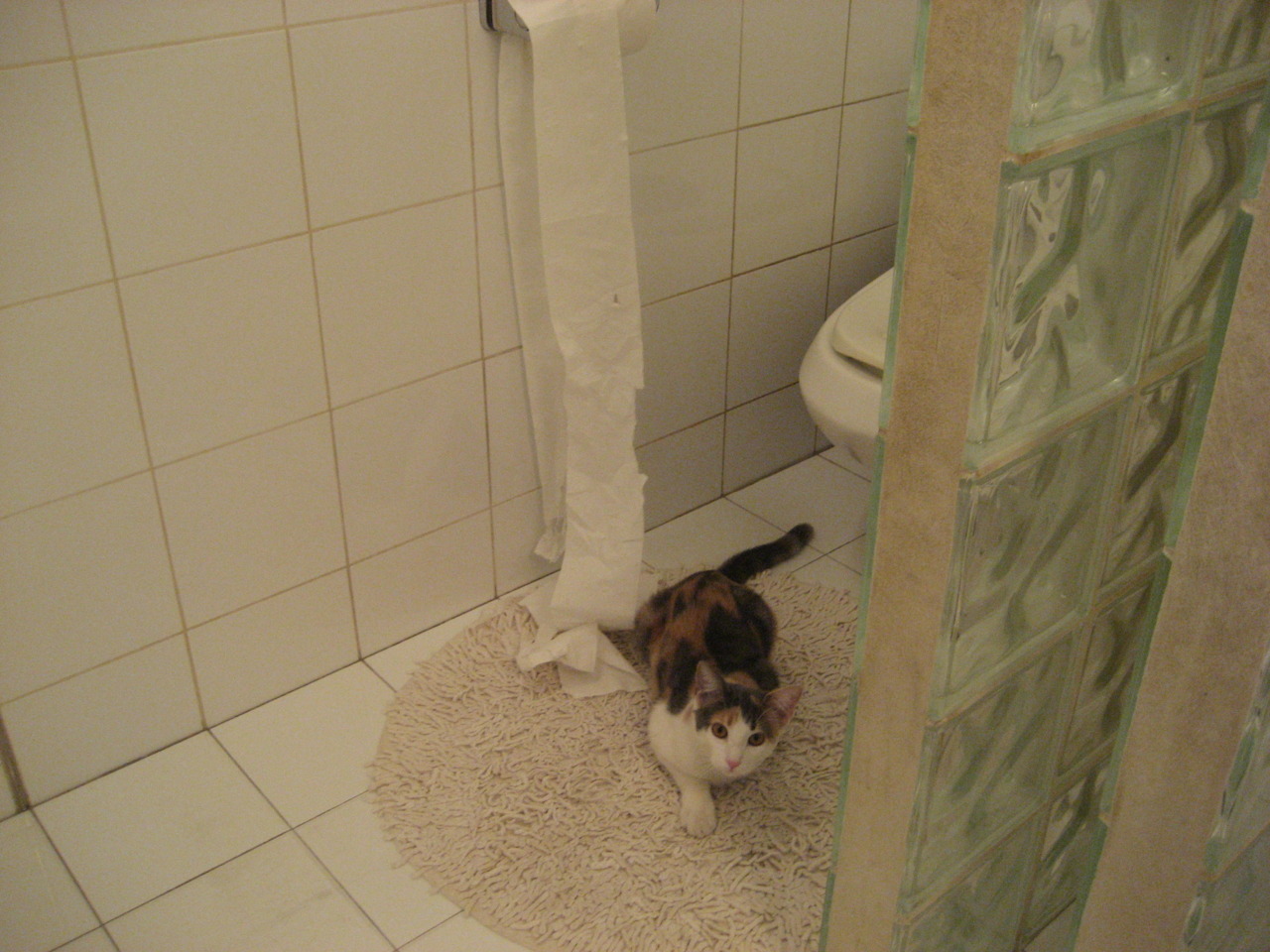 Kaiyun APP-中国足球走向数字经济 引领行业智能升级，中国足球产业