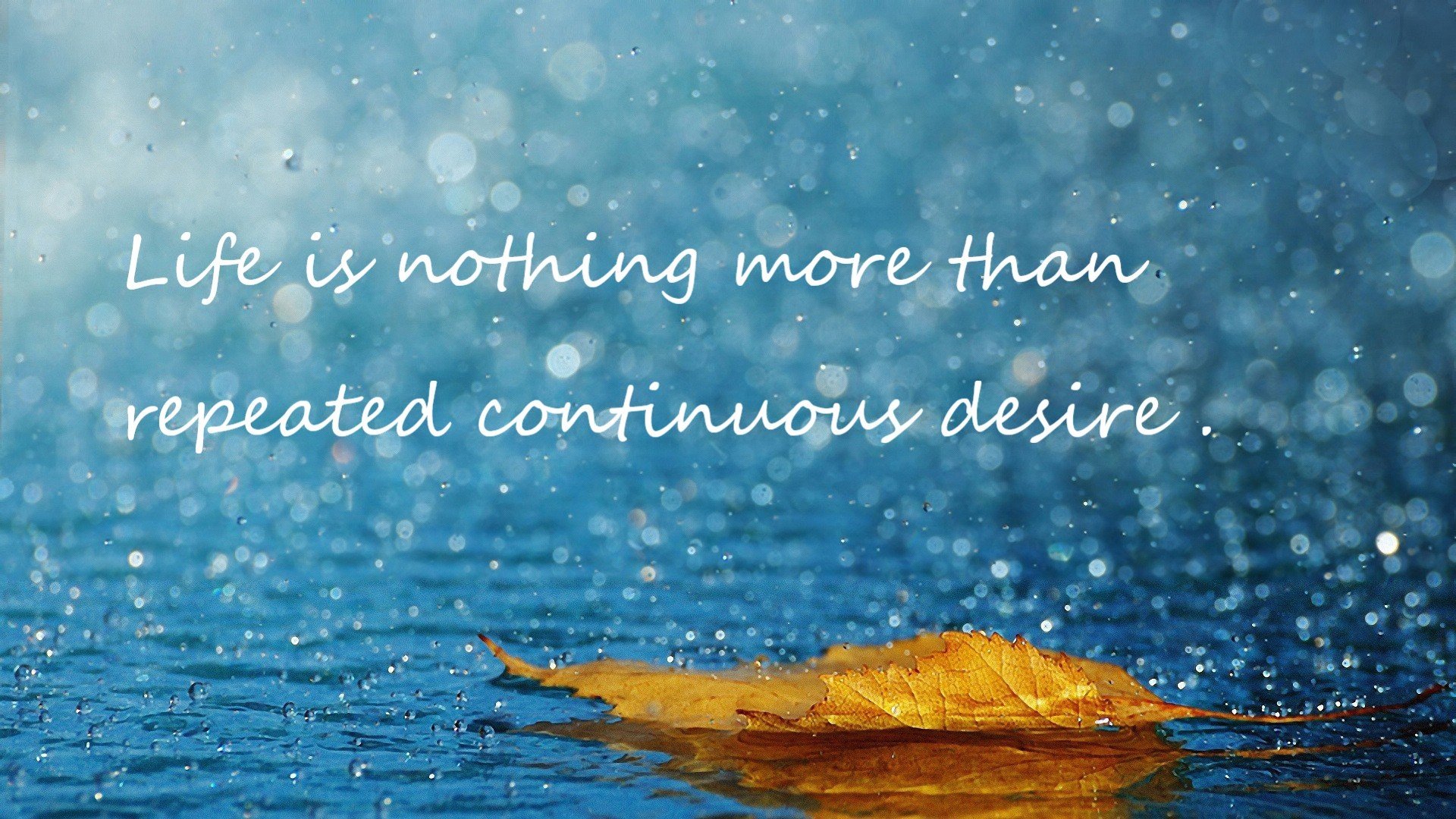 传奇家族:多个NBA巨星的“星光传承”故事,传奇家族直播