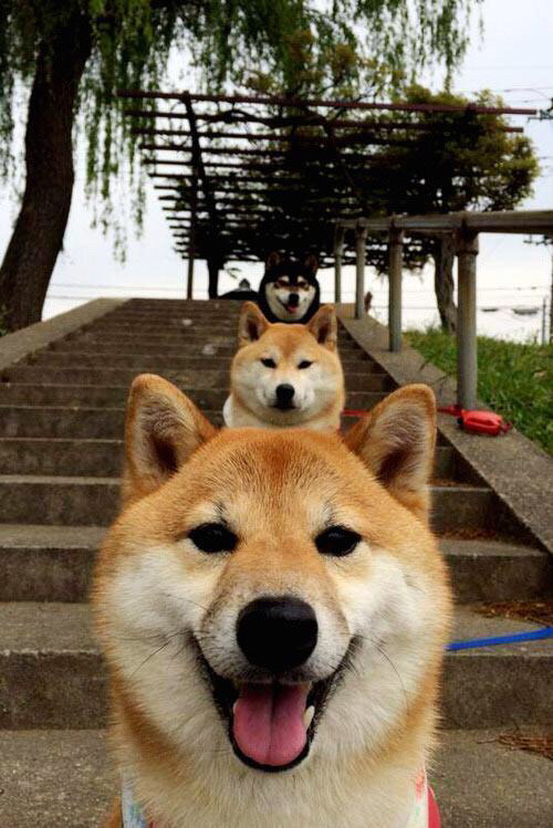 kaiyun.com-伊朗男足在巴黎奥运会比赛中以2-1战胜阿根廷，伊朗男足最好成绩