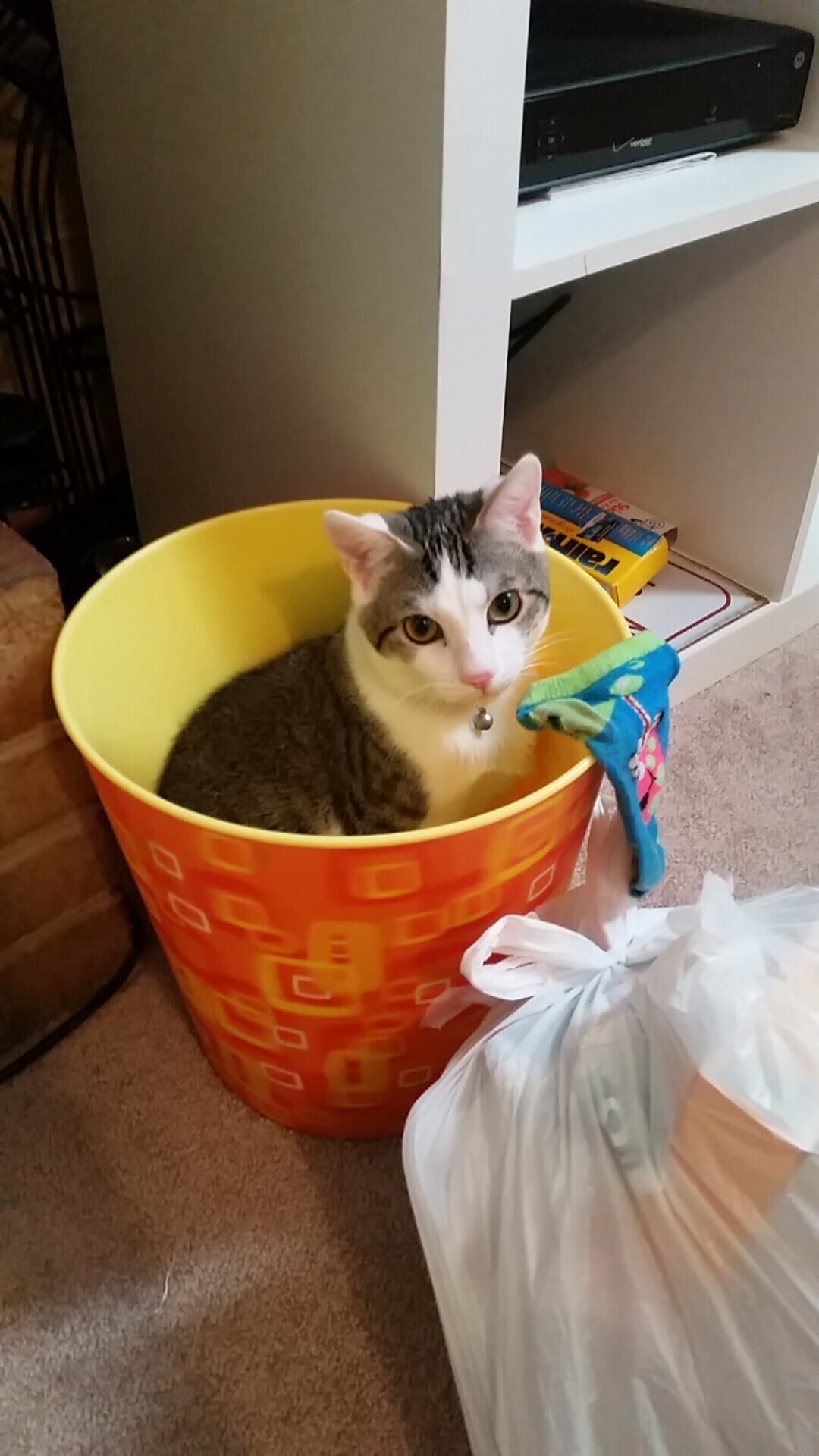 布鲁诺·卡博克洛成为NBA国际球员代表，布鲁诺卡波科洛集锦