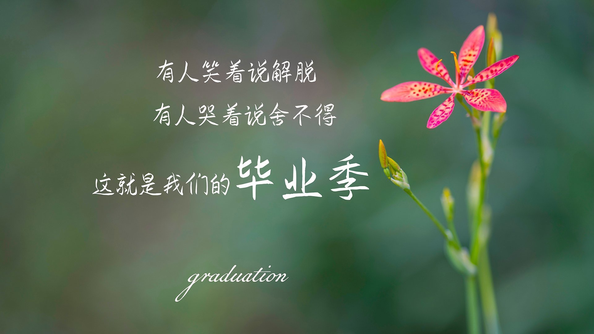 电竞与科技领域的紧密结合:技术驱动,体验升级,电竞与游戏