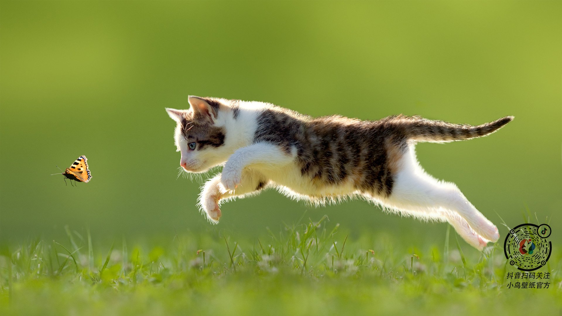 英超：曼城主场5-1大胜，继续领跑积分榜，曼城去年英超积分