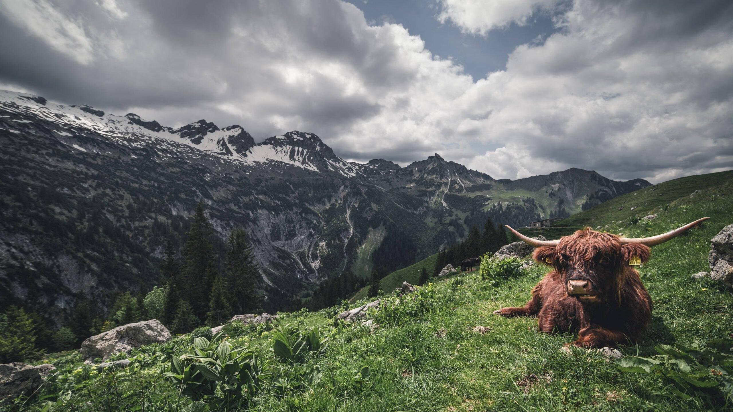 跨界合作案例频繁:品牌与战队共同创造行业价值,跨界品牌联合的前因后果研究