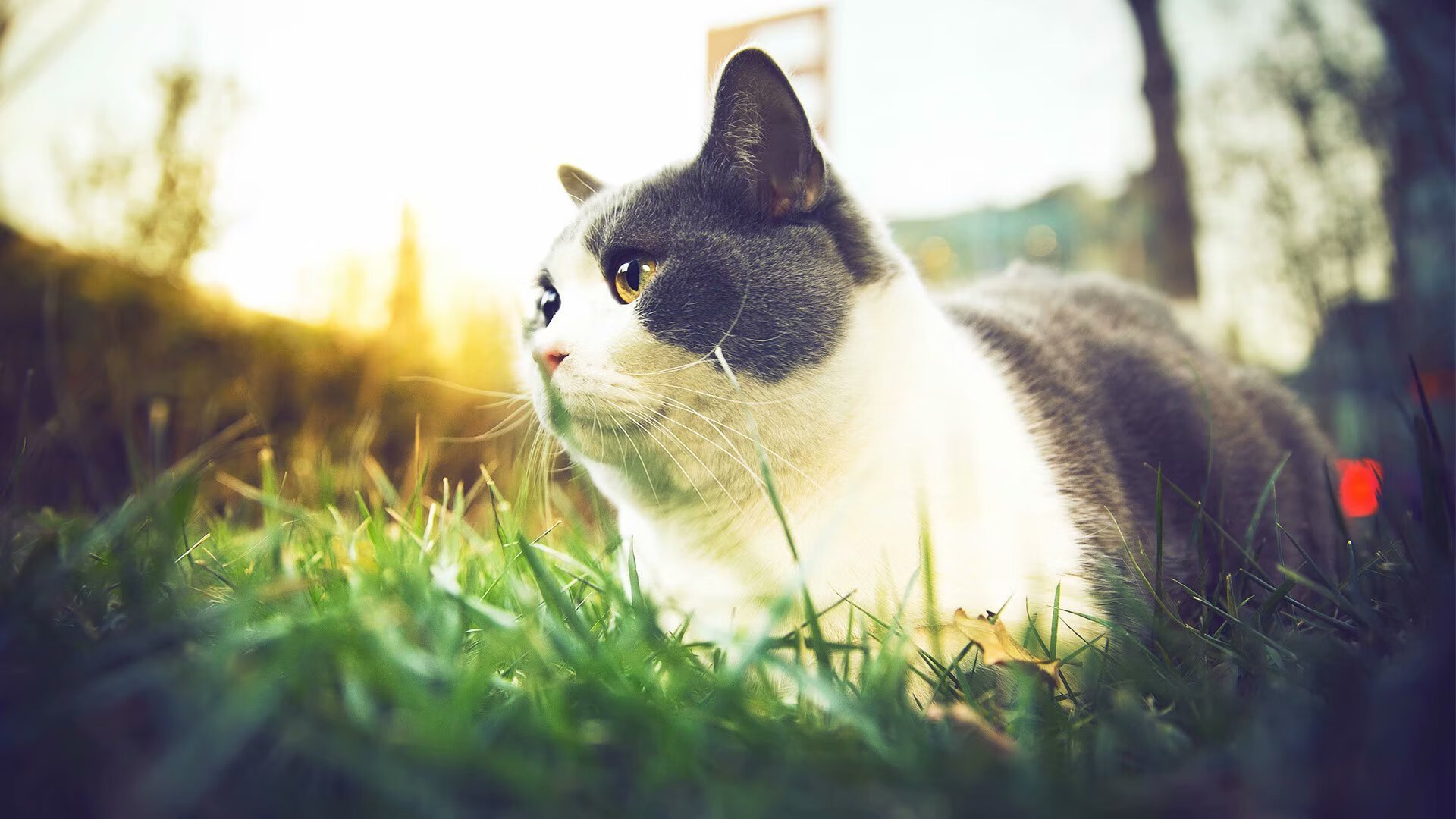 跨界合作成趋势:电竞与电影、动画同步发力,电竞题材影视化