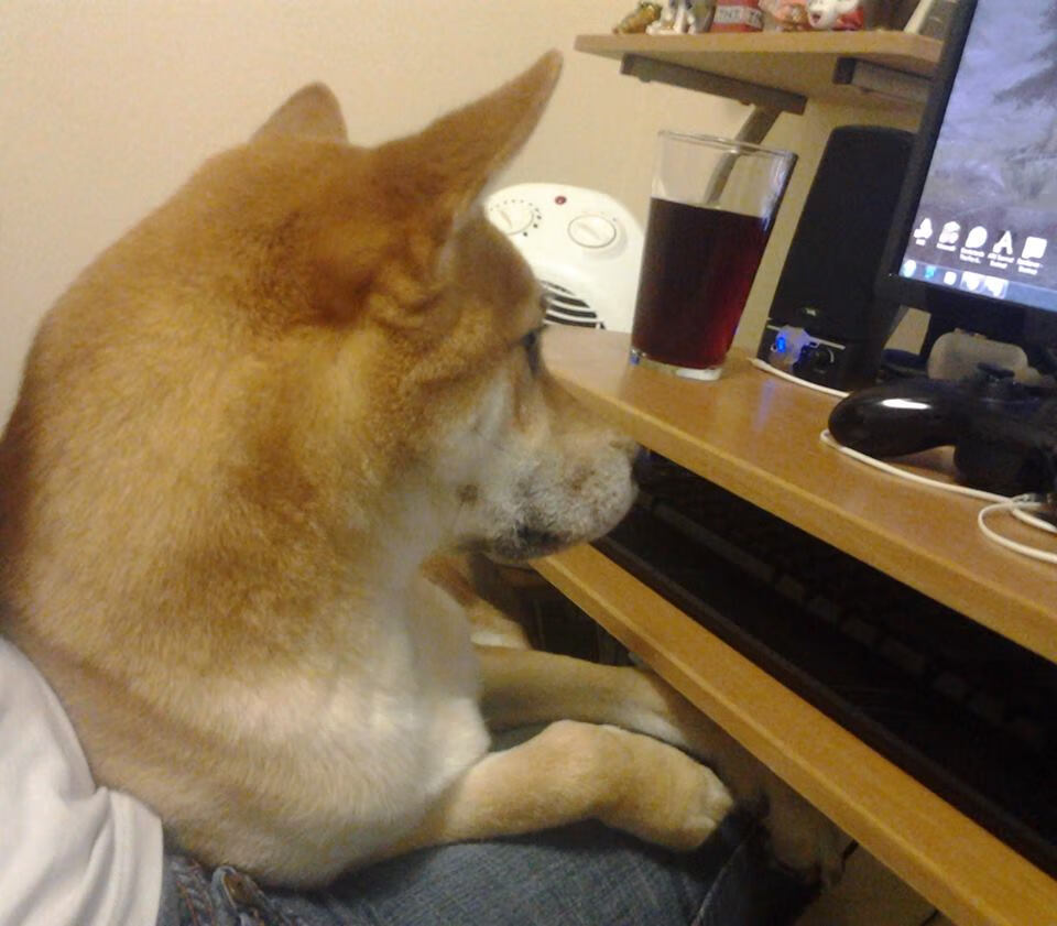 LCS常规赛迎来压轴对决，lcs比赛时间