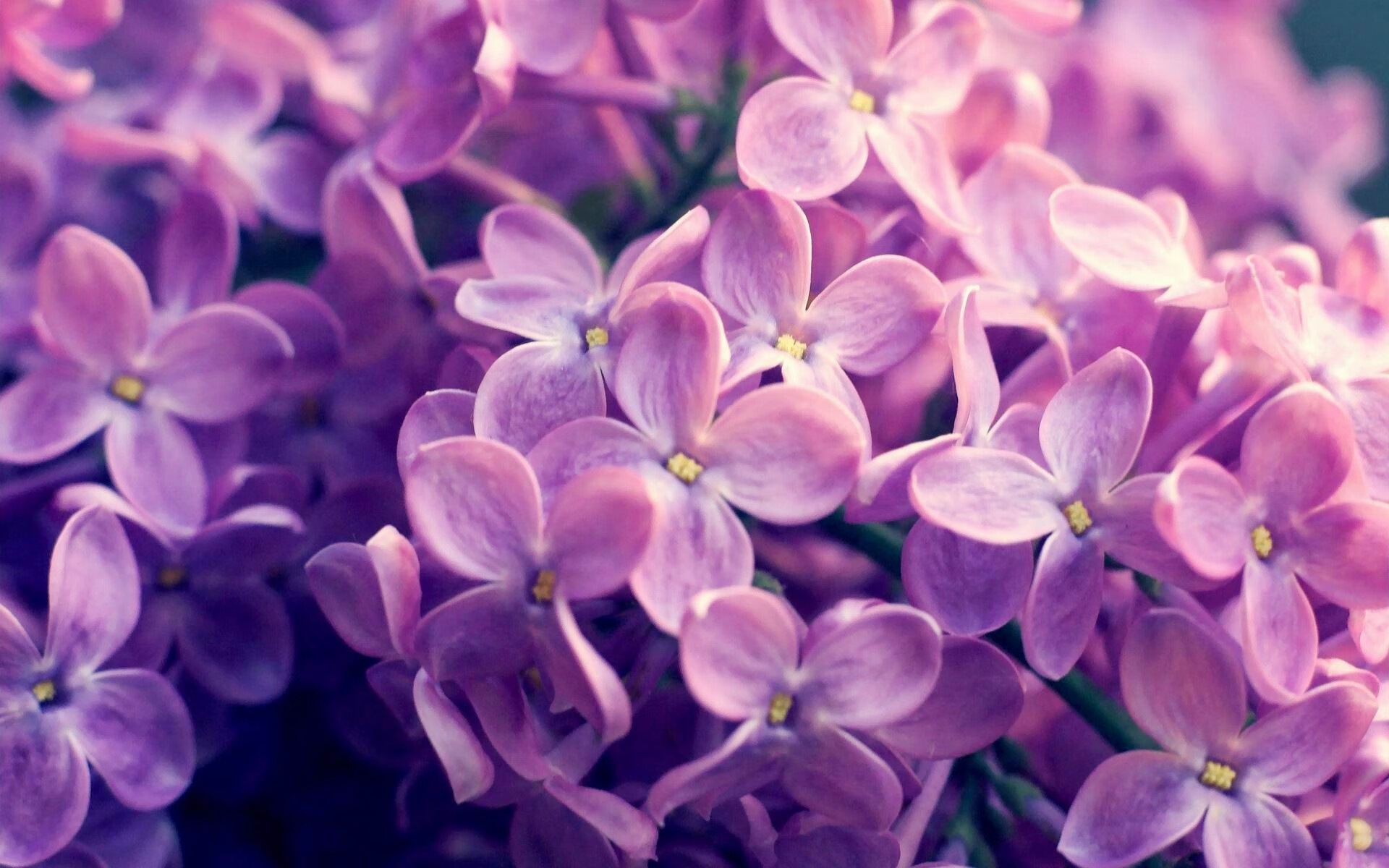 女足欧洲锦标赛赛程公布,女足欧洲杯2022