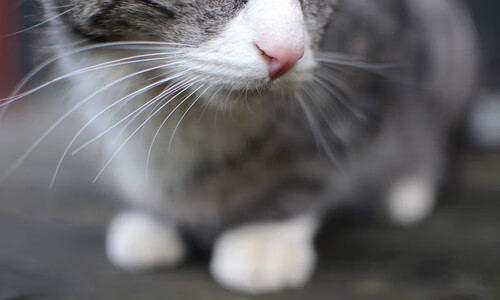 kaiyun.com-广州队球员在比赛中表现稳定，取得胜利，广州队球员在比赛中表现稳定,取得胜利的是谁