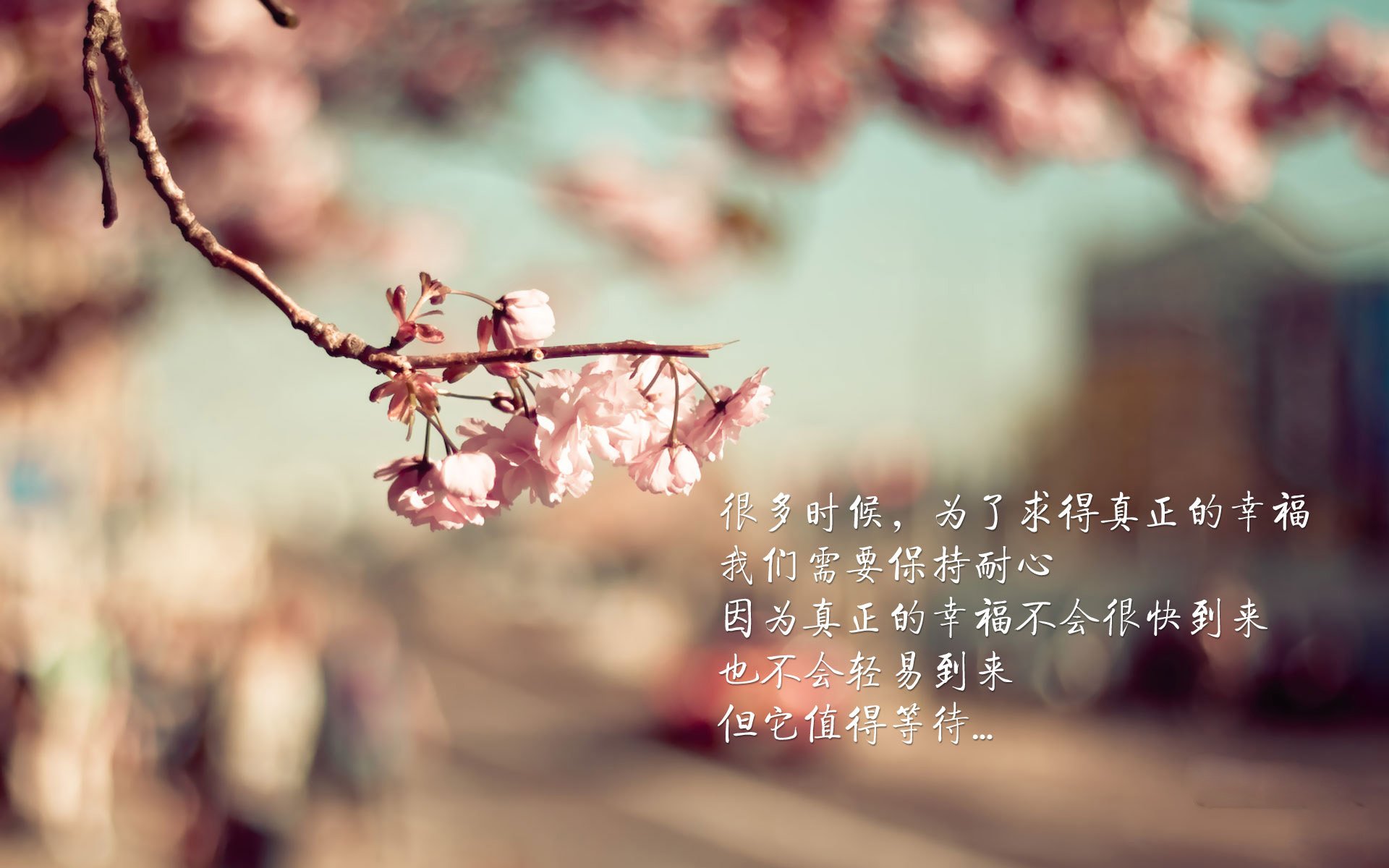 德国国家队击败强敌,锁定欧洲杯席位,德国队公布欧洲杯名单