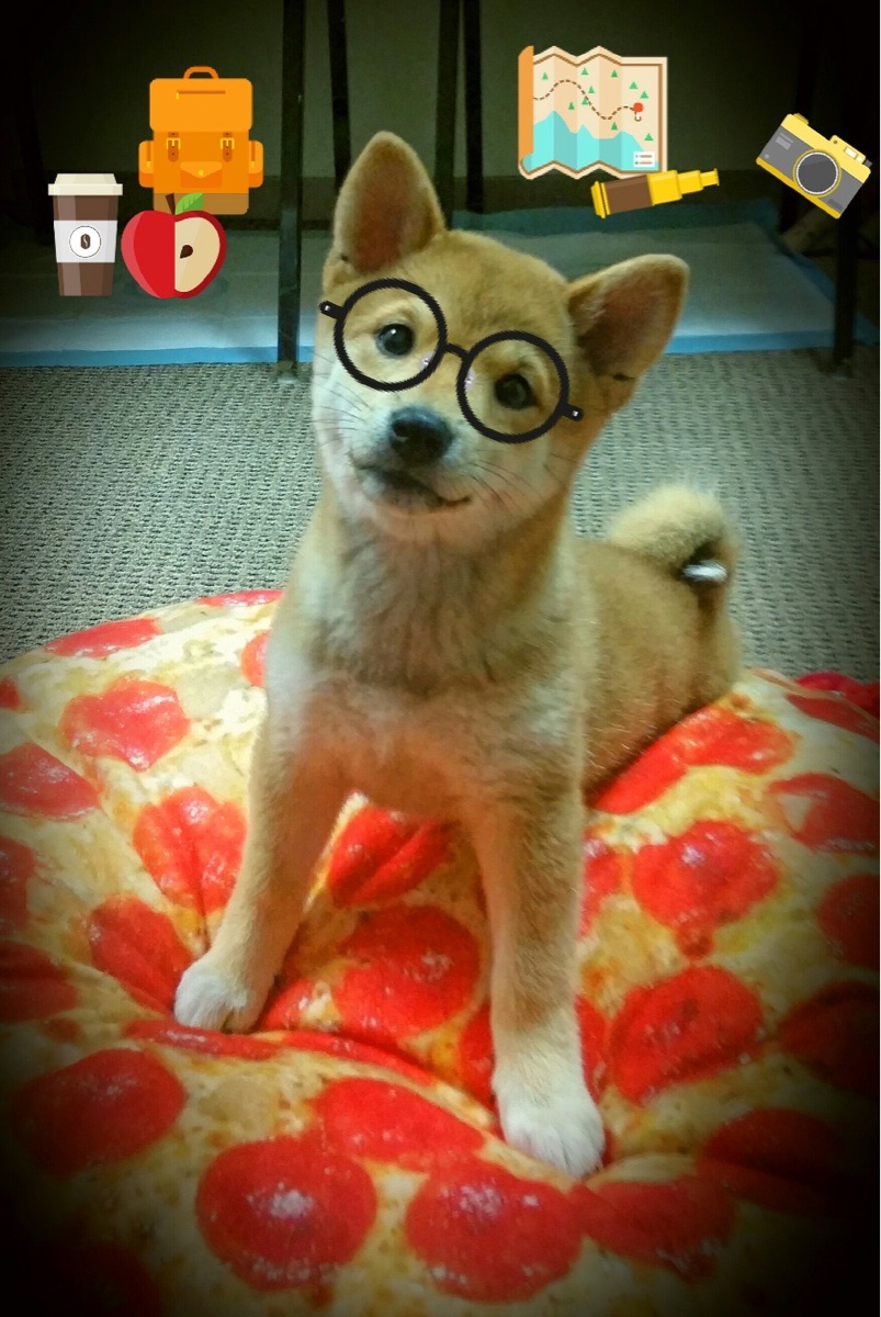 kaiyun体育app-才情横溢，年轻球员赛场上大放异彩，年轻球员排名