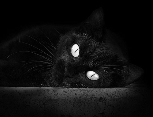 皇马后防线严阵以待,力保客场不败,皇马历史最佳后防线