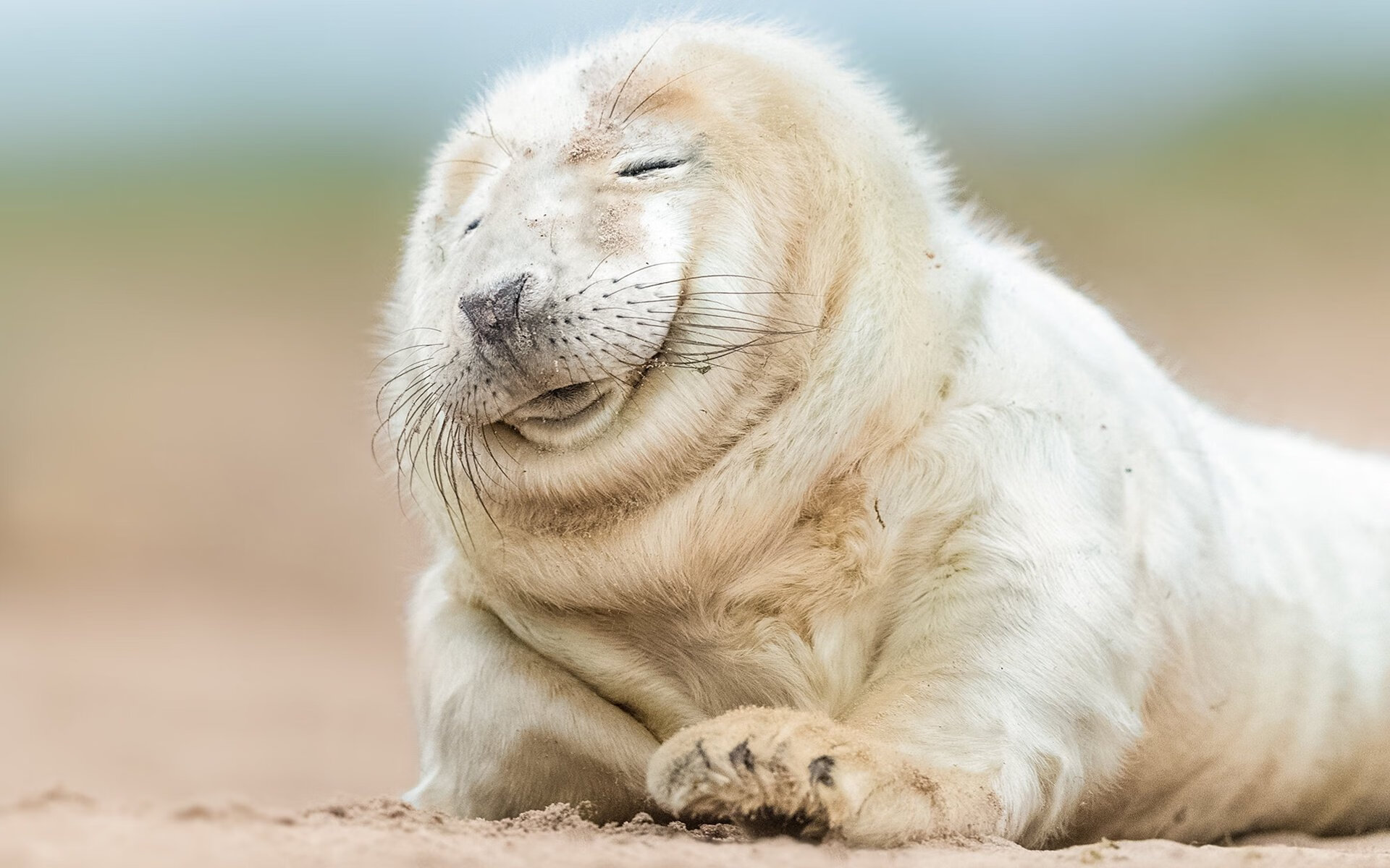 开云体育APP下载-出发入水角度对速度影响，游泳出发入水角度