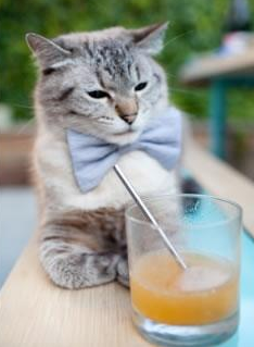 C罗携全家度假照片引爆热搜,c罗一家