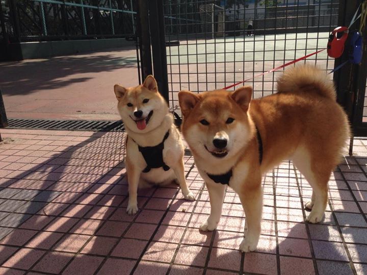 kaiyun官方入口登录-世界杯最终决战：战术与个人技艺的巅峰对决！，世界杯最后谁赢了