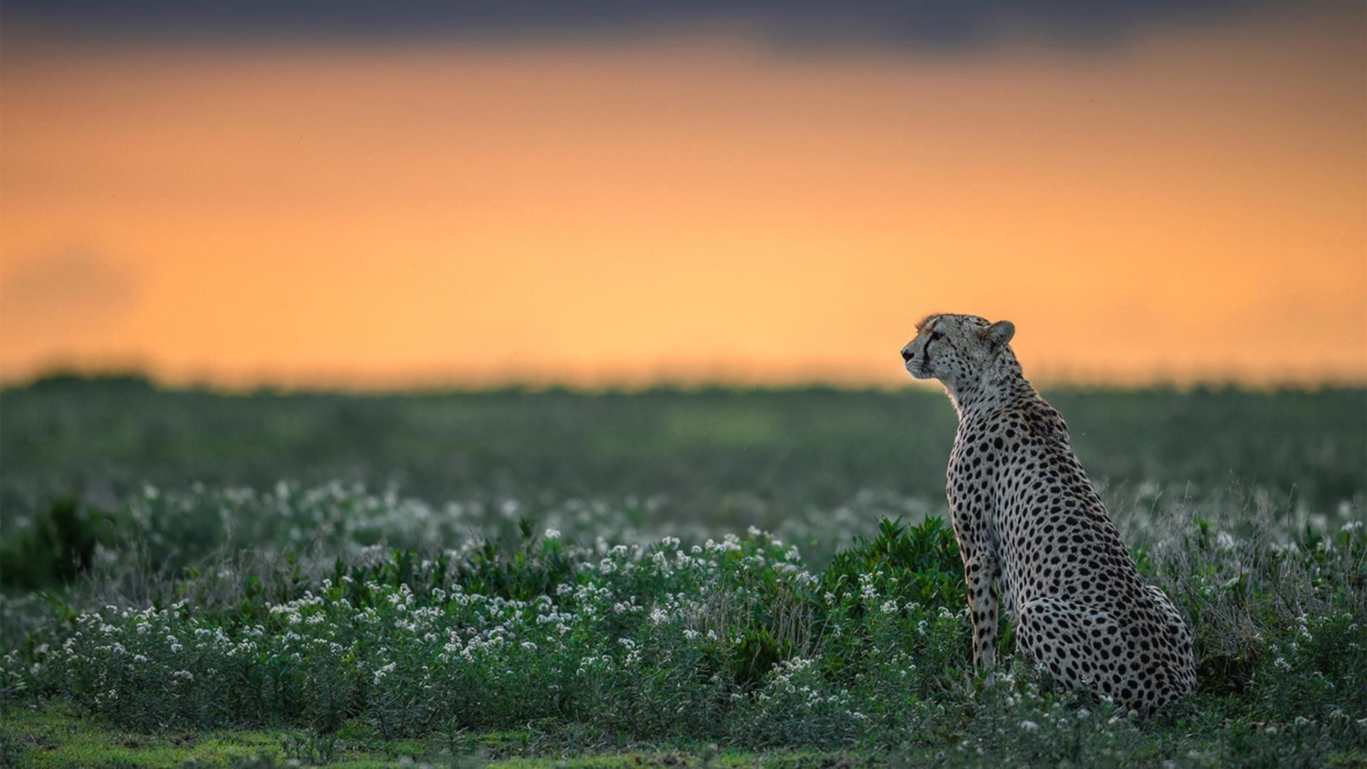 中国足球国家队技术动作规范训练扎实开展,中国足球国家队技术动作规范训练扎实开展