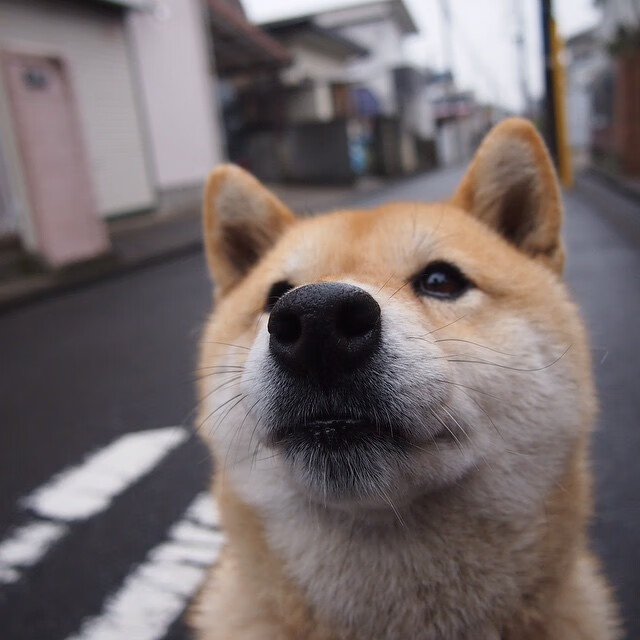 巴雷特：全黑队的“全能型进攻者”，每一场比赛都有精彩表现