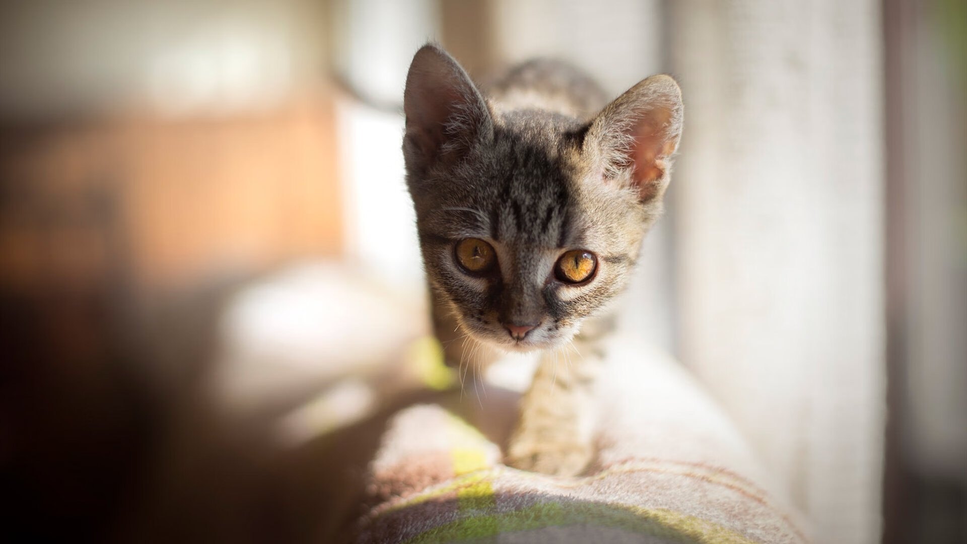 男子国家队完善失误控制机制减少非受迫性失误