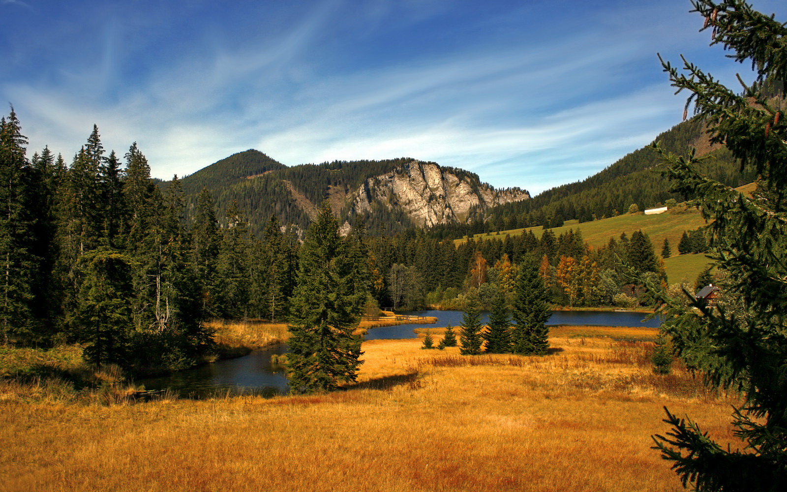 萨摩亚队在太平洋锦标赛中夺冠，体育事业大步向前